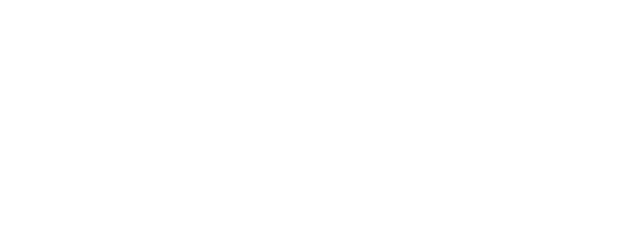 Demo Flowz